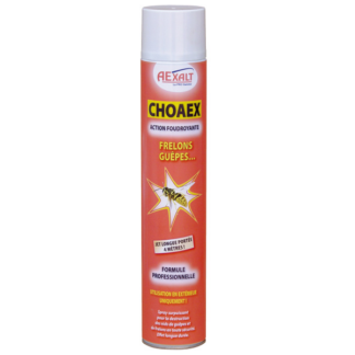 INSECTICIDE CHOAEX 750ml