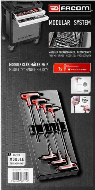 Module 7 clés males a poignée Torx